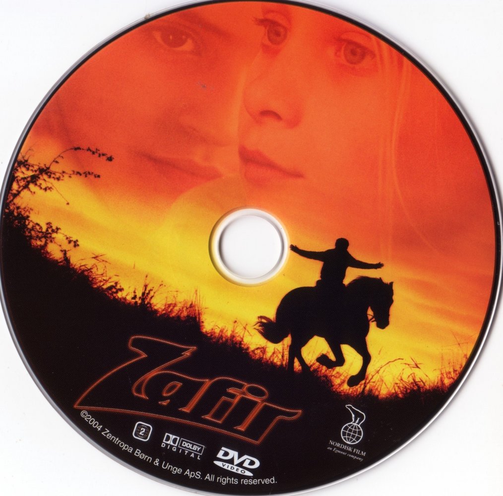 DVD Disk